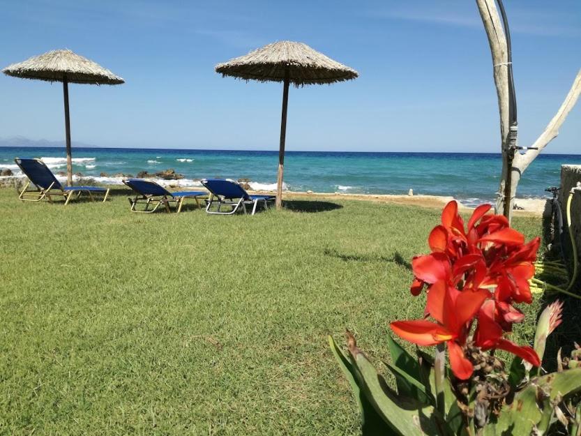 Studio Thalassa Kypseli エクステリア 写真